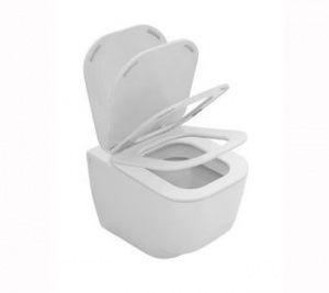 Fusion 48 wall hung wc with soft close seat cover (YXJ7)
