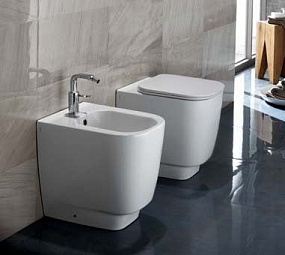 Fusion 48 back to wall wc soft close seat cover (YXBY)